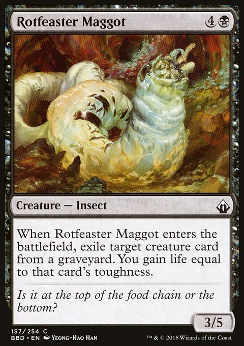 Rotfeaster Maggot